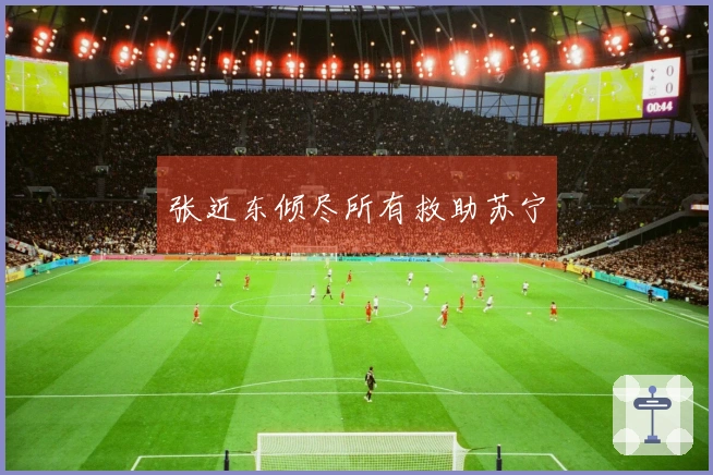 张近东倾尽所有救助苏宁
