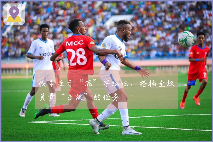 我专注于“混”字秘法，搭档全权负责“击敌”的任务