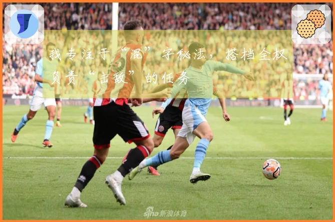 我专注于“混”字秘法，搭档全权负责“击敌”的任务